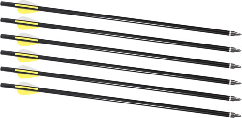 TRADITIONS ARROWS 16" 6-PACK FOR XBR ARROW LAUNCHER - for sale