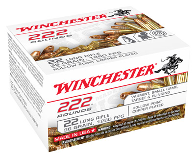 WINCHESTER 22LR 36GR LEAD HP 222RD 10BX/CS CASE LOT - for sale