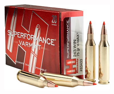 HORNADY SPF VARMINT 243 WIN 75GR V-MAX 20RD 10BX/CS - for sale