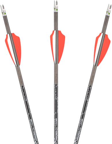 AXE CROSSBOW MICRO BOLT .166" W/RED LIGHTED NOCK 18" 3PK - for sale
