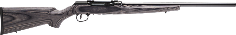 SAV A17 TARGET 17HMR 22" 10RD BL/LAM - for sale