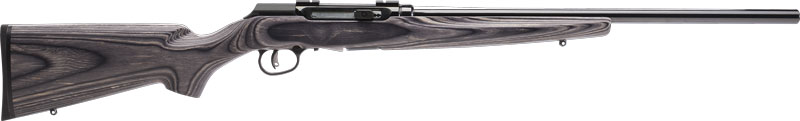 SAVAGE A17 .17HMR SPORTER 22" ACCU TGR BLU/GRY LAM SPORTER - for sale