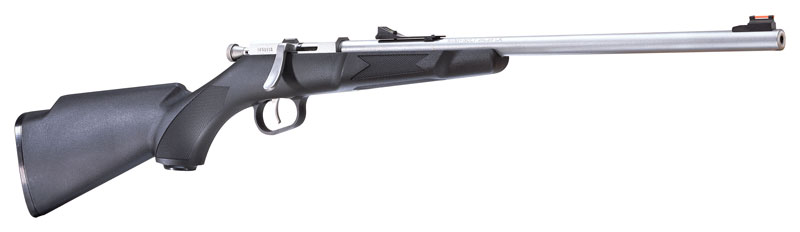 HENRY MINI BOLT 22LR 16.25" BLK/STS - for sale