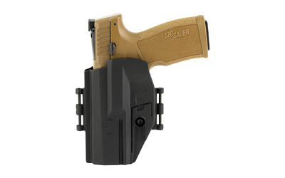 SIG P322 22LR 4" FIBER OPTIC ADJ. SIGHTS 20-SHOT FDE POLY - for sale